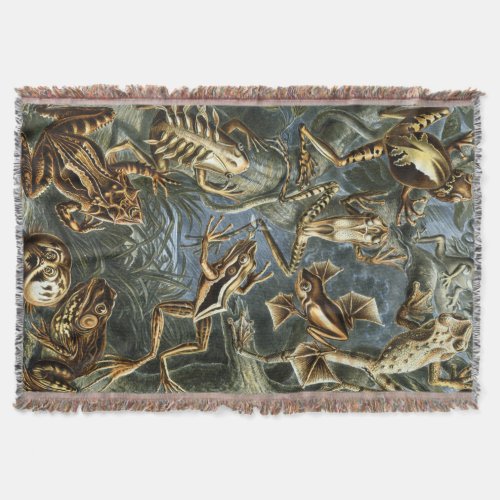 Ernst Haeckel variety of exotic frogsBatrachia Throw Blanket