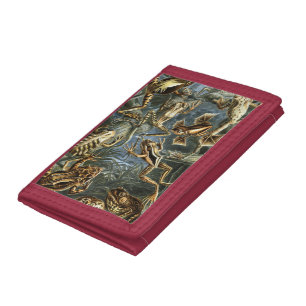 Ernst Haeckel variety of exotic frogs:Batrachia Tri-fold Wallet