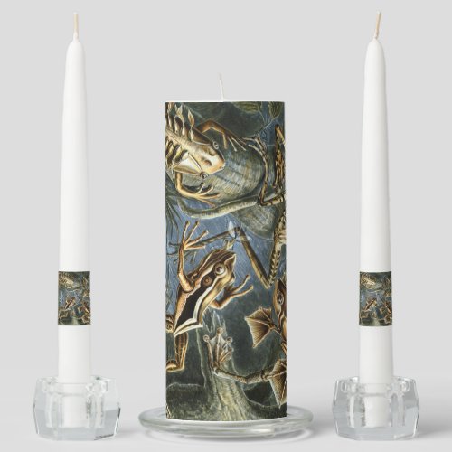 Ernst Haeckel variety of exotic frogsBatrachia Unity Candle Set