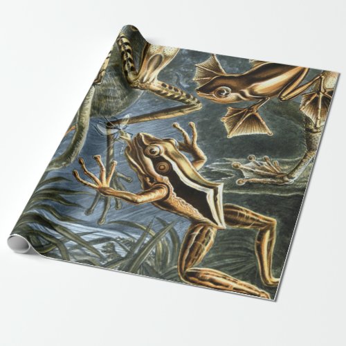 Ernst Haeckel variety of exotic frogsBatrachia Wrapping Paper