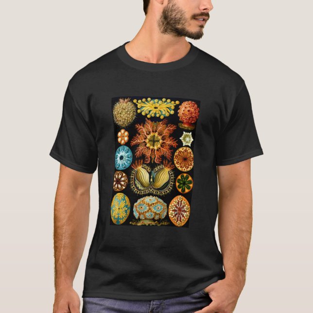 Ernst Haeckel Vintage Biological Illustration Asci T-Shirt (Front)