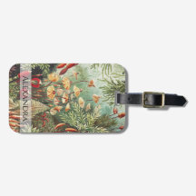 Ernst Haeckel Vintage Retro Mushroom