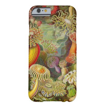 Ernst Haeckel's Actinae Ocean Life Barely There Iphone 6 Case by ThinxShop at Zazzle