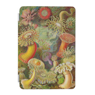 Ernst Haeckel's Actinae Ocean Life iPad Mini Cover