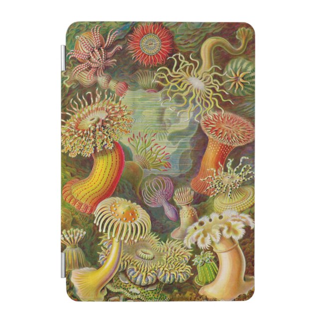 Ernst Haeckel's Actinae Ocean Life iPad Mini Cover (Front)