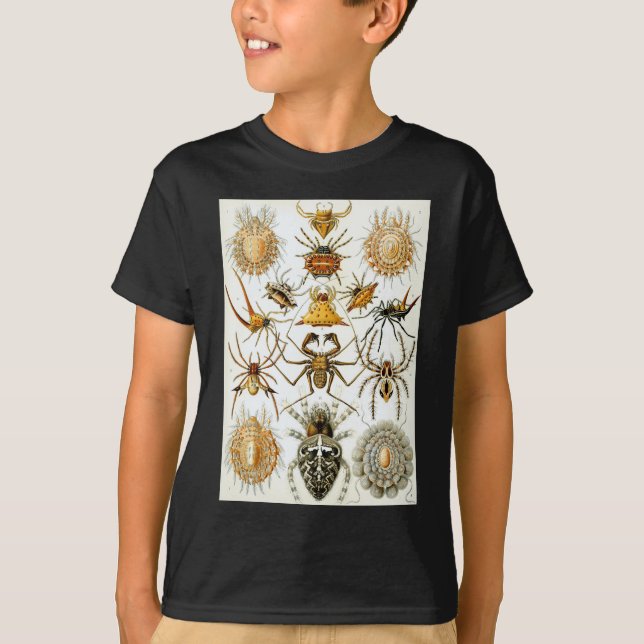 Ernst Haeckel's Arachnida Spiders T-Shirt (Front)