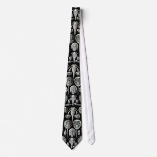 Ernst Haeckel's Aspidonia Tie