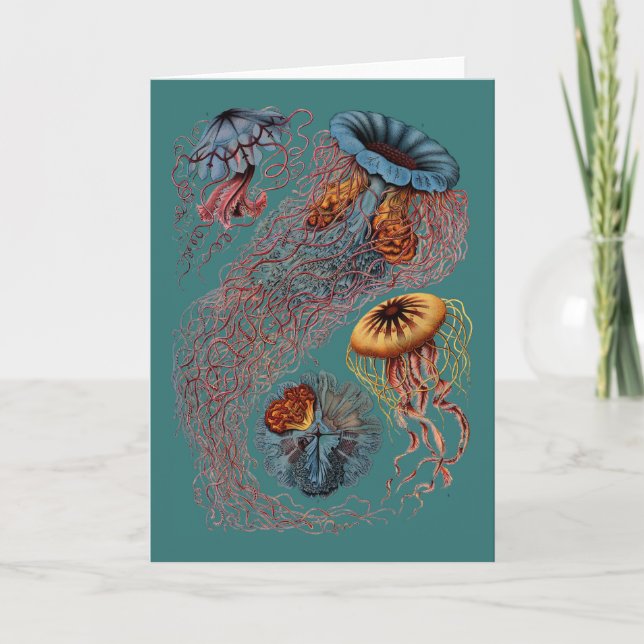 Ernst Haeckel's Disco Medusae Card (Front)
