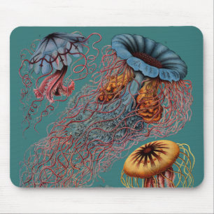 Ernst Haeckel's Disco Medusae Mouse Pad