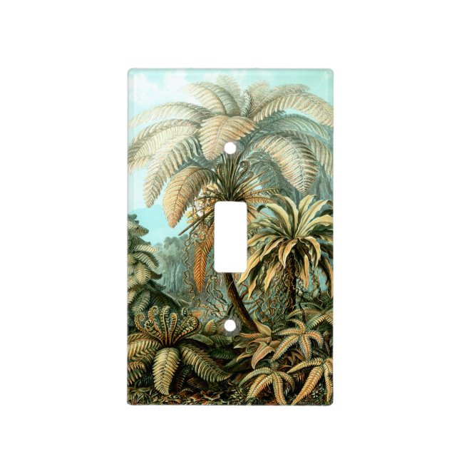 Ernst Haeckel's Filicinae (Tree Ferns) Light Switc Switch Cover (Front)