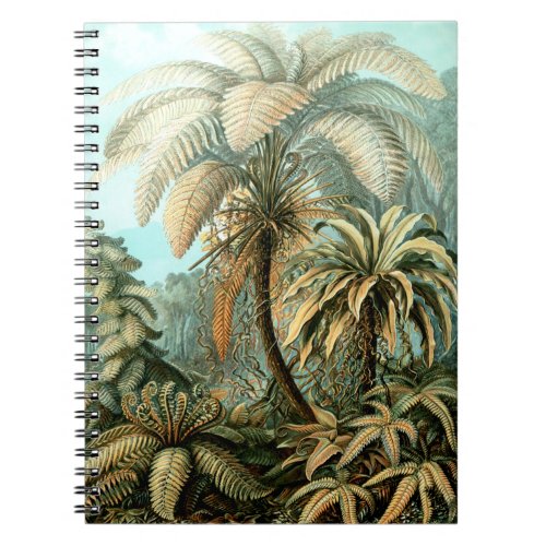 Ernst Haeckels Filicinae Tree Ferns Notebook