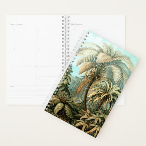 Ernst Haeckels Filicinae Tree Ferns Planner