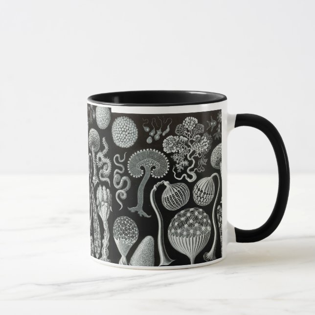 Ernst Haeckel's Mycetozoa Mug (Right)