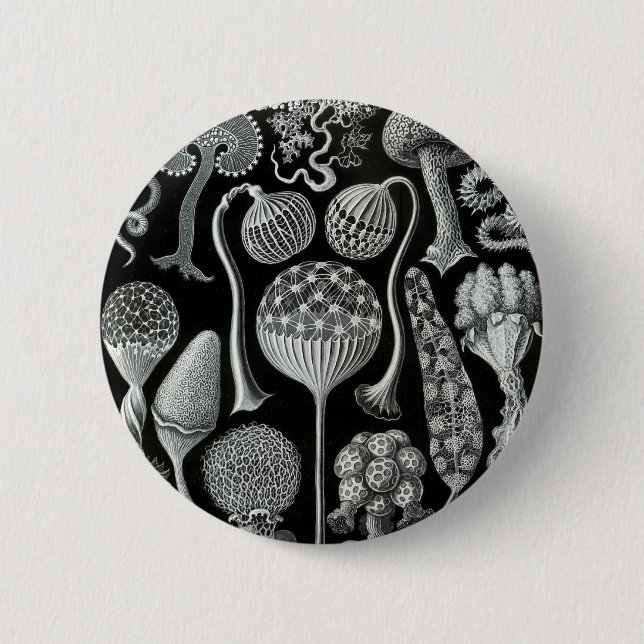 Ernst Haeckel's Mycetozoa Pinback Button (Front)