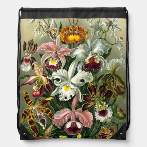 Ernst Haeckels Orchidaceae Drawstring Bag