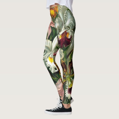 Ernst Haeckels Orchidaceae Leggings