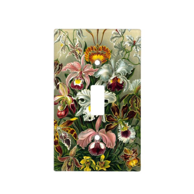 Ernst Haeckel's Orchidaceae Light Switch Cover (Front)