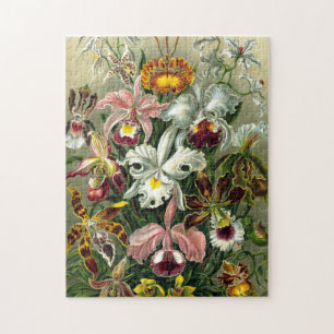 Ernst Haeckel's Orchidaceae Orchids Jigsaw Puzzle