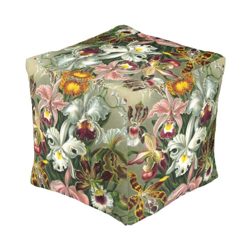 Ernst Haeckels Orchidaceae Pouf