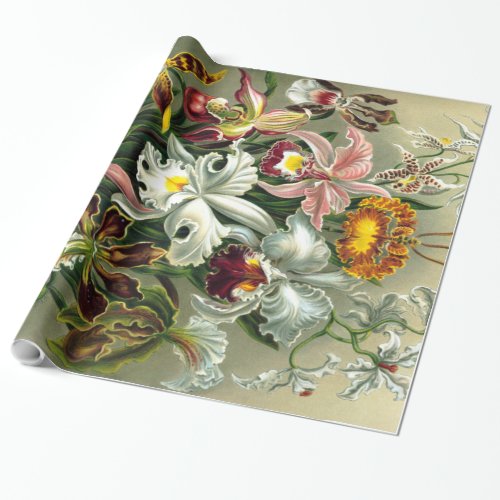 Ernst Haeckels Orchidaceae Wrapping Paper