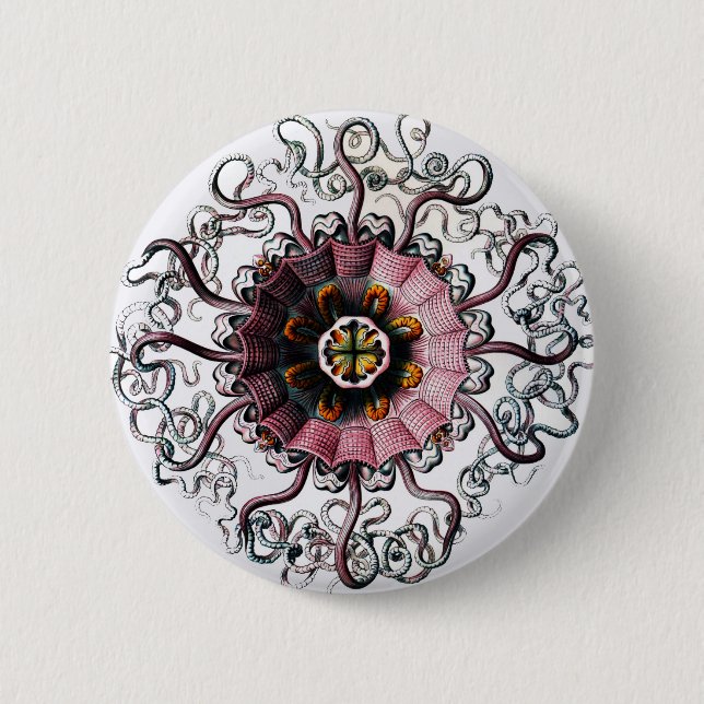 Ernst Haeckel's Peromedusae Pinback Button (Front)