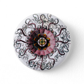 Ernst Haeckel's Peromedusae Pinback Button