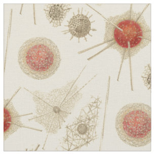 Ernst Haeckel's Radiolarian Fabric