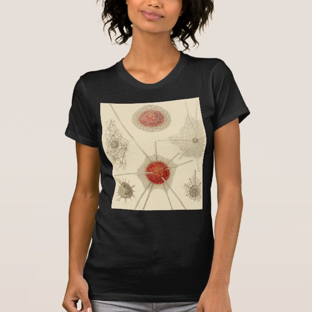 Ernst Haeckel's Radiolarian T-Shirt (Front)