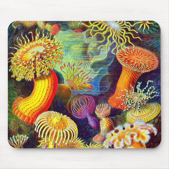 Ernst Haeckel's Sea Anemones Mouse Pad (Front)