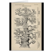 Ernst Haeckel's "tree of life" (Front)