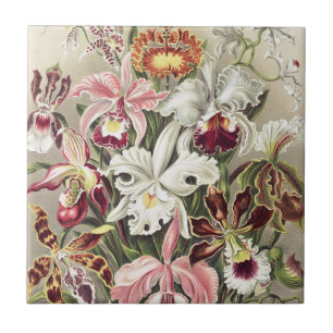 ErnstHaeckel Vintage Botanical Orchid Illustration Ceramic Tile