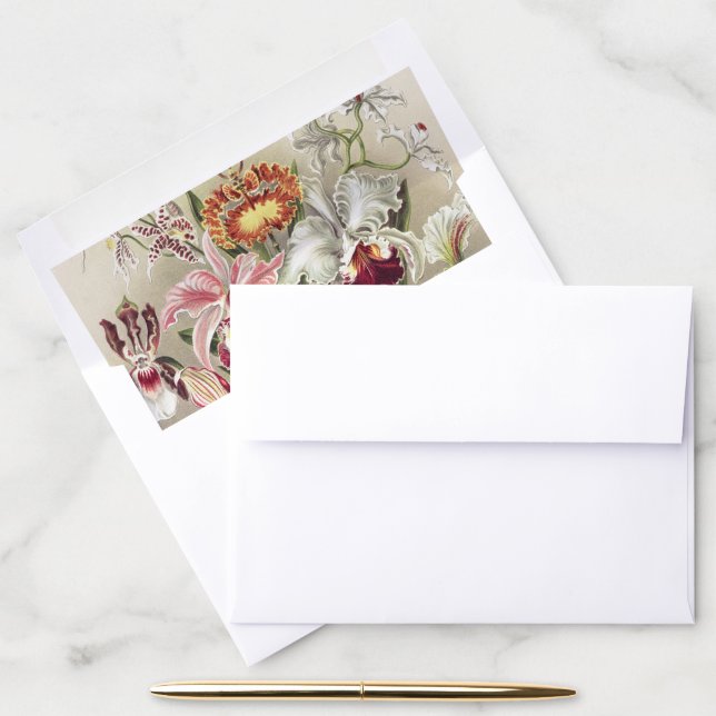 ErnstHaeckel Vintage Botanical Orchid Illustration Envelope Liner (Desk)