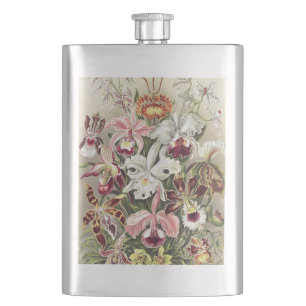ErnstHaeckel Vintage Botanical Orchid Illustration Flask