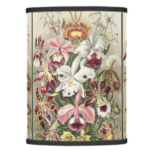 ErnstHaeckel Vintage Botanical Orchid Illustration Lamp Shade