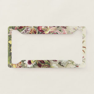 ErnstHaeckel Vintage Botanical Orchid Illustration License Plate Frame