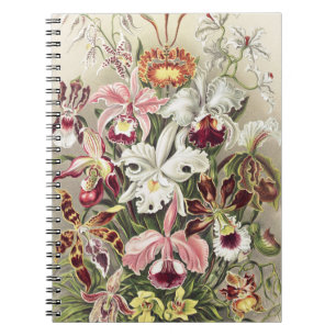 ErnstHaeckel Vintage Botanical Orchid Illustration Notebook