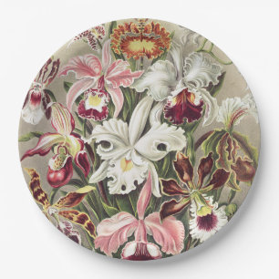 ErnstHaeckel Vintage Botanical Orchid Illustration Paper Plates