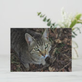 Eros (Standing Front)