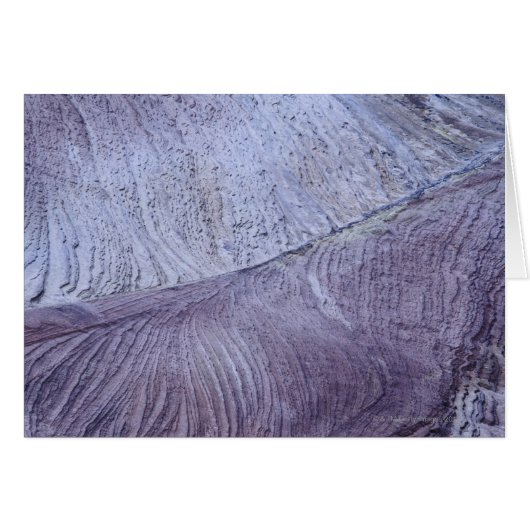 Erosion ,Zion National Park ,Utah Cards (Front Horizontal)
