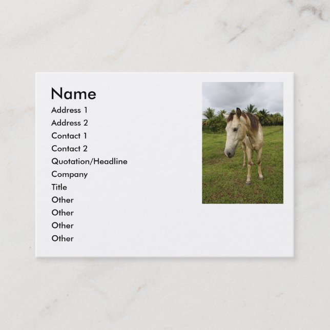 Errand, Business Card (Front)