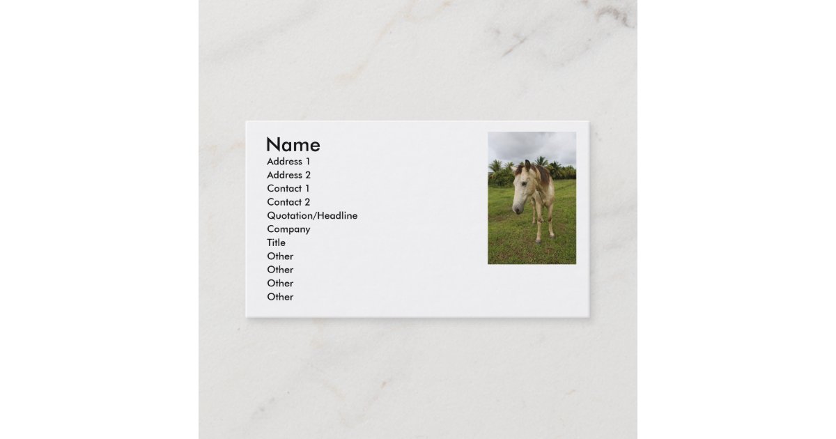 Errand Business Card Zazzle