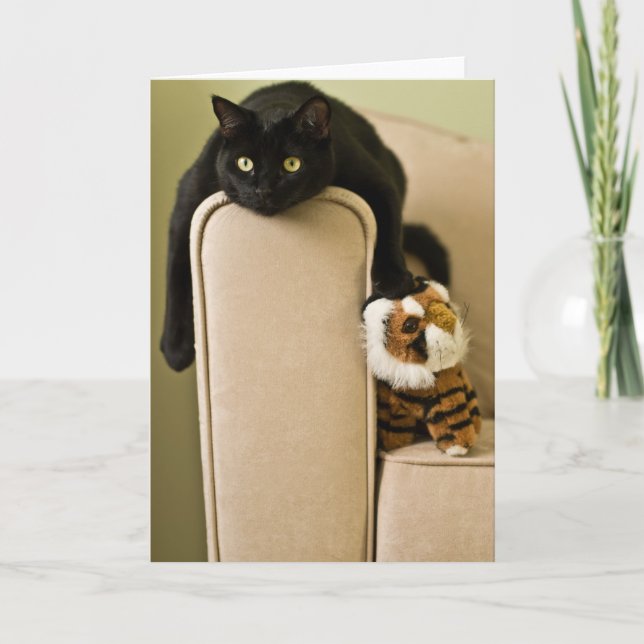 Ersatz Cats Notecard (Front)