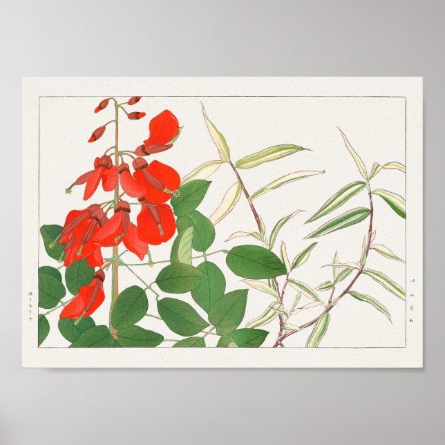 Erythrina, Panicum by Tanigami Konan Poster (Front)