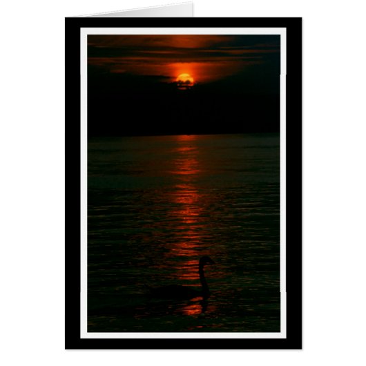 Es wird Nacht Karte Cards (Front)