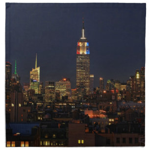 ESB: Election Night 2012 #2 Cloth Napkin