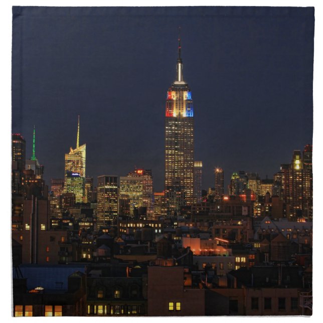 ESB: Election Night 2012 #2 Cloth Napkin (Front)