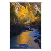 Escalante Reflection (Front)