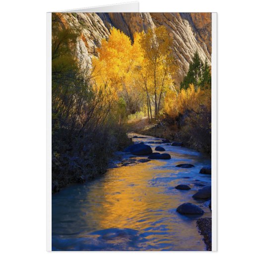 Escalante Reflection (Front)