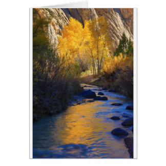 Escalante Reflection Cards