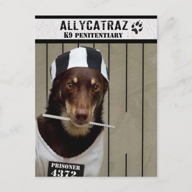 Escape from Allycatraz Postcard (Front)